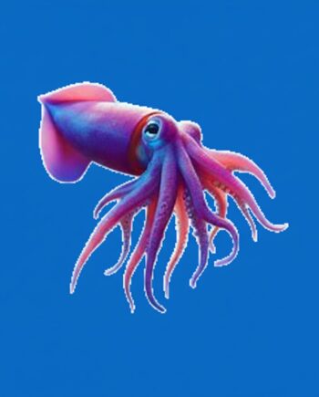 SquIDPS 1.0 (Enterprise) - Annual Subscription