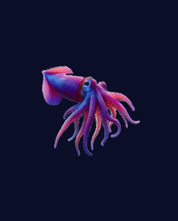 Reef Squid Pentest Toolkit (Enterprise) - Annual Subscription