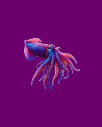 Reef Squid Pentest Toolkit (Pro) - Annual Subscription